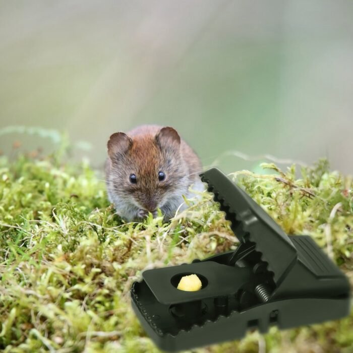 6-Pack: Reusable Mouse Trap - Image 10