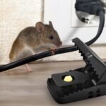 6-Pack: Reusable Mouse Trap - Image 11