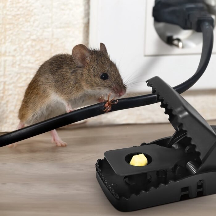 6-Pack: Reusable Mouse Trap - Image 11